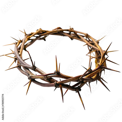 still life of crown of thorns