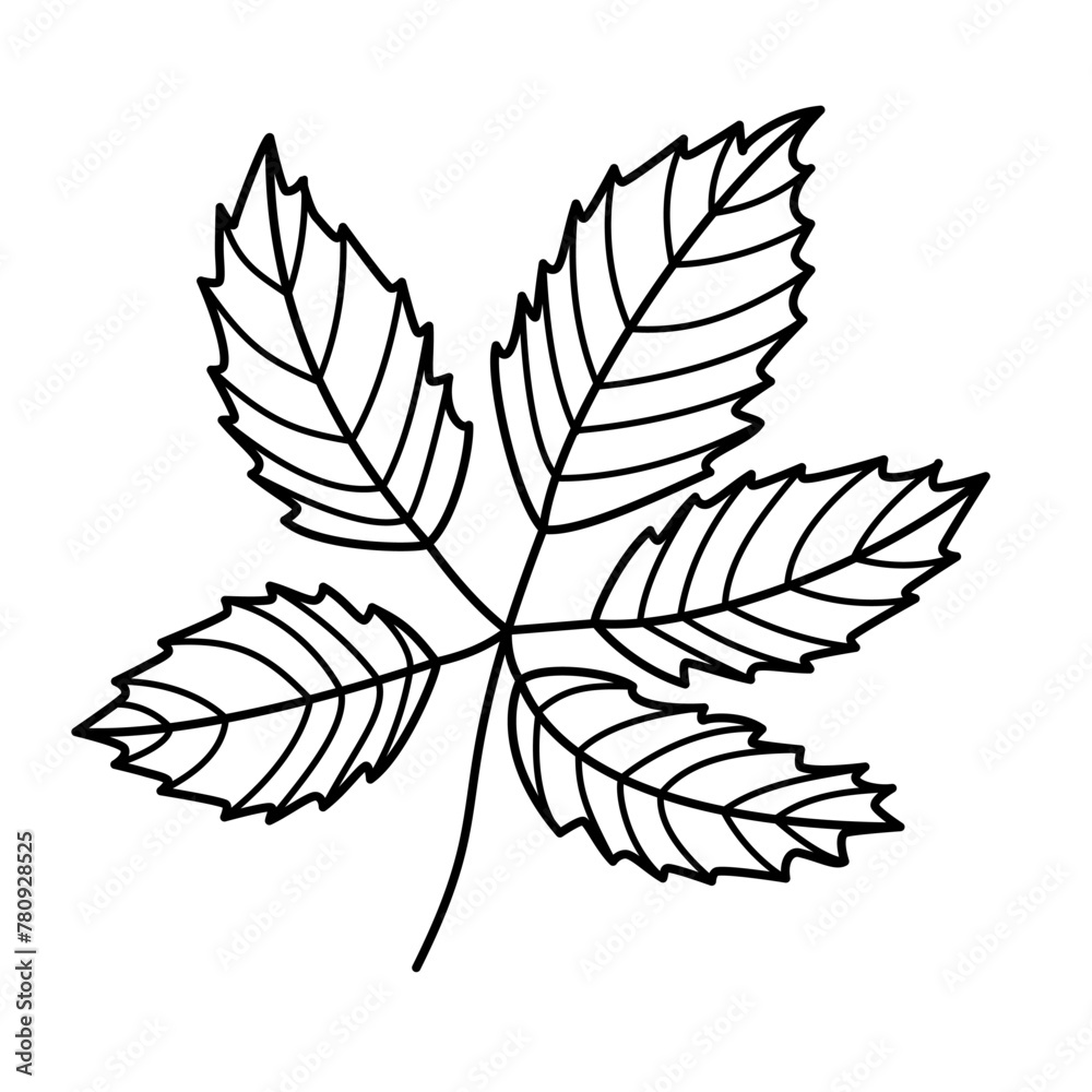 Fototapeta premium Tree leaf contour drawing isolated cutout black and white vector clipart illustration. Autumn leaves line art design element. Nature pictogram, logo or icon. Tree foilage simple cartoon doodle.