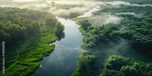 Aerial view of a river surrounded by trees. Suitable for nature and landscape themes
