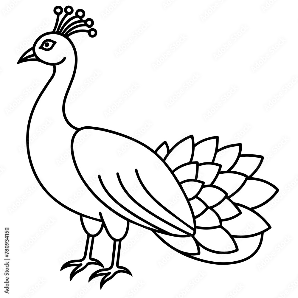 black and white peacock vector illustration black and white peacock vector illustration