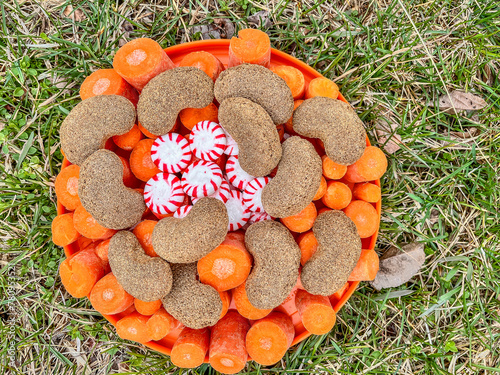 Horse treats including peppermints, cookies, and carrots arranged on a round plate set on the grass. 