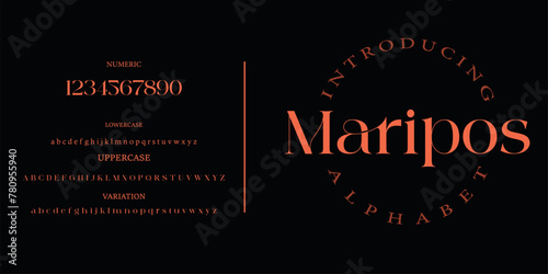 Maripos elegant Font Uppercase Lowercase and Number. Classic Lettering Minimal Fashion Designs. Typography modern serif fonts regular decorative vintage concept. vector illustration photo