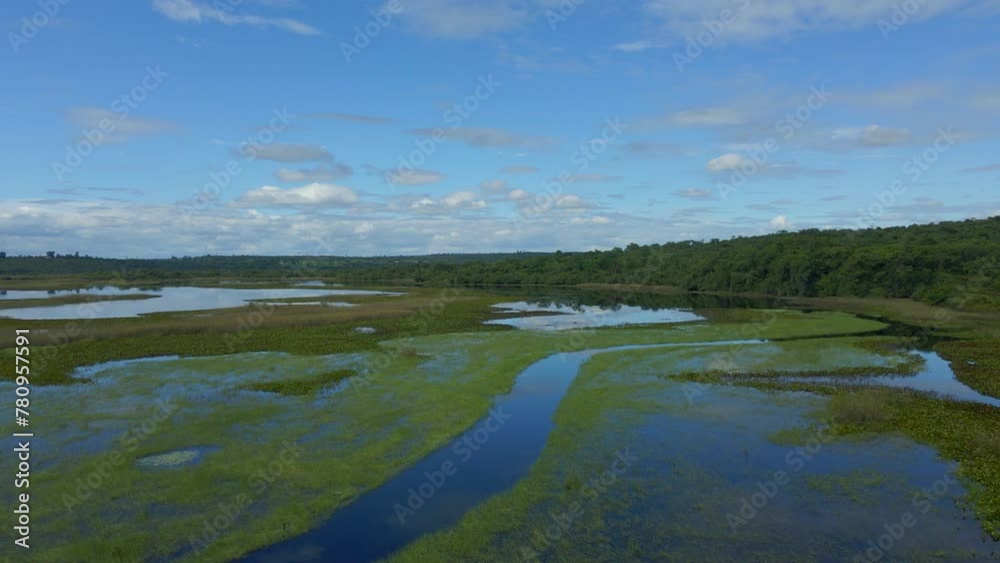Marimbus Wetland Landscape in Brazil. Aerial View Marimbus Wetland Landscape in Brazil. Aerial View