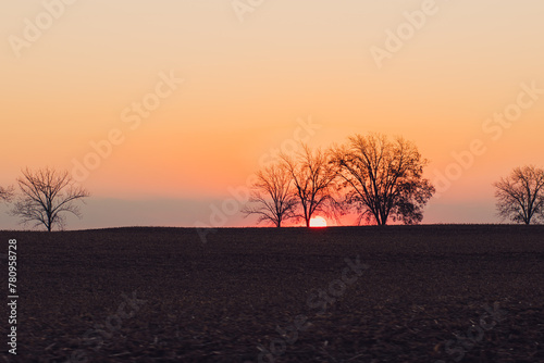 sunset in the field