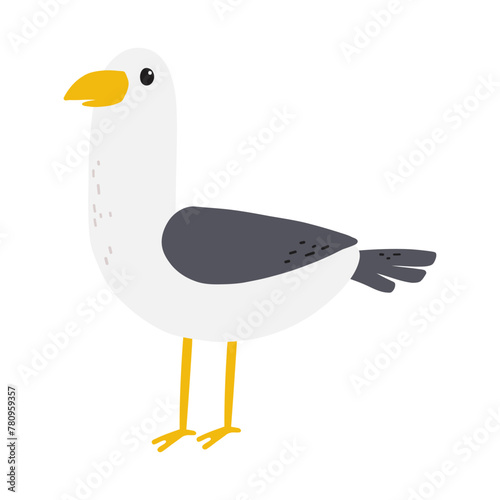 Seagull animal vector illustration