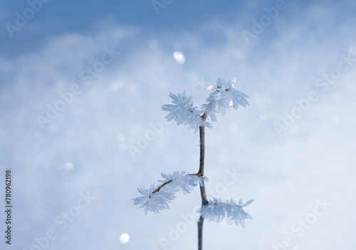 Sparkling hoar frost on a branch with snow in winter