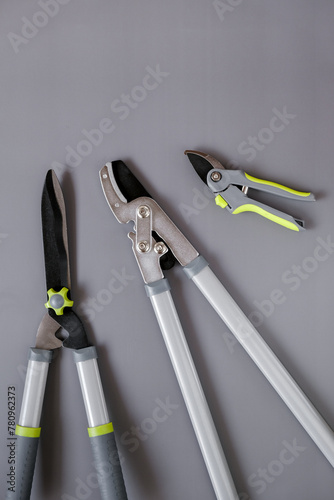 Steel Garden tool set .Secateurs, loppers and hedge trimmers.Garden equipment and tools.Tools for pruning and trimming plants.Plants Pruning Tool. 
