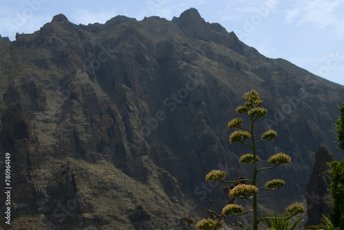Mountainous landscape of Masca, tourist area of the canary island of Tenerife (Spain)