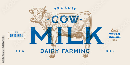 Cow, milk, dairy tag label. Template dairy farm, Milk Tag Label. Vintage cow print, tag, label sketch ink pencil drawing. Cow, milk dairy shop, text, typography. Vector Illustration
