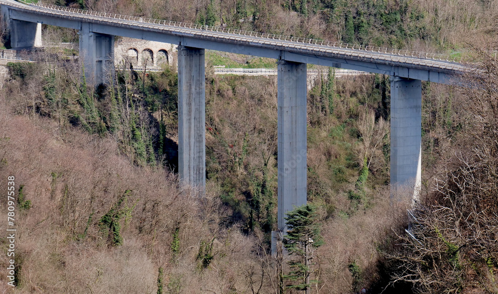 A highway bridge crosses a forested valley