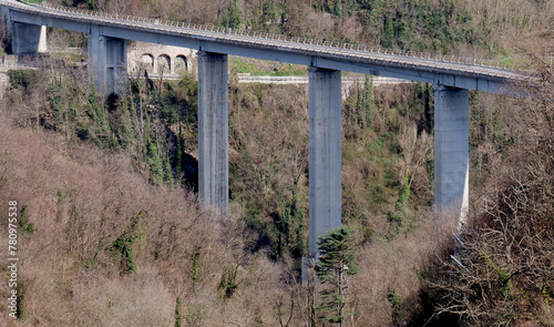 A highway bridge crosses a forested valley