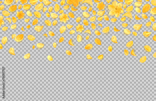Gold yellow petals falling from above.