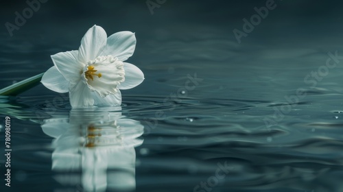 White flower floating water