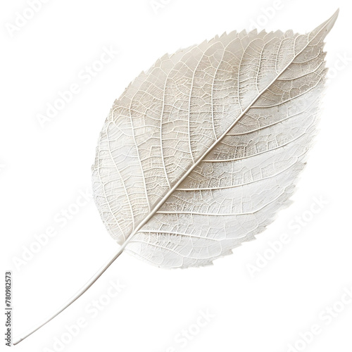 White leaf boho style