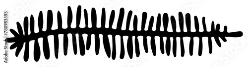 Monstera Tropical Leaf Silhouette Palm Vector Illustration