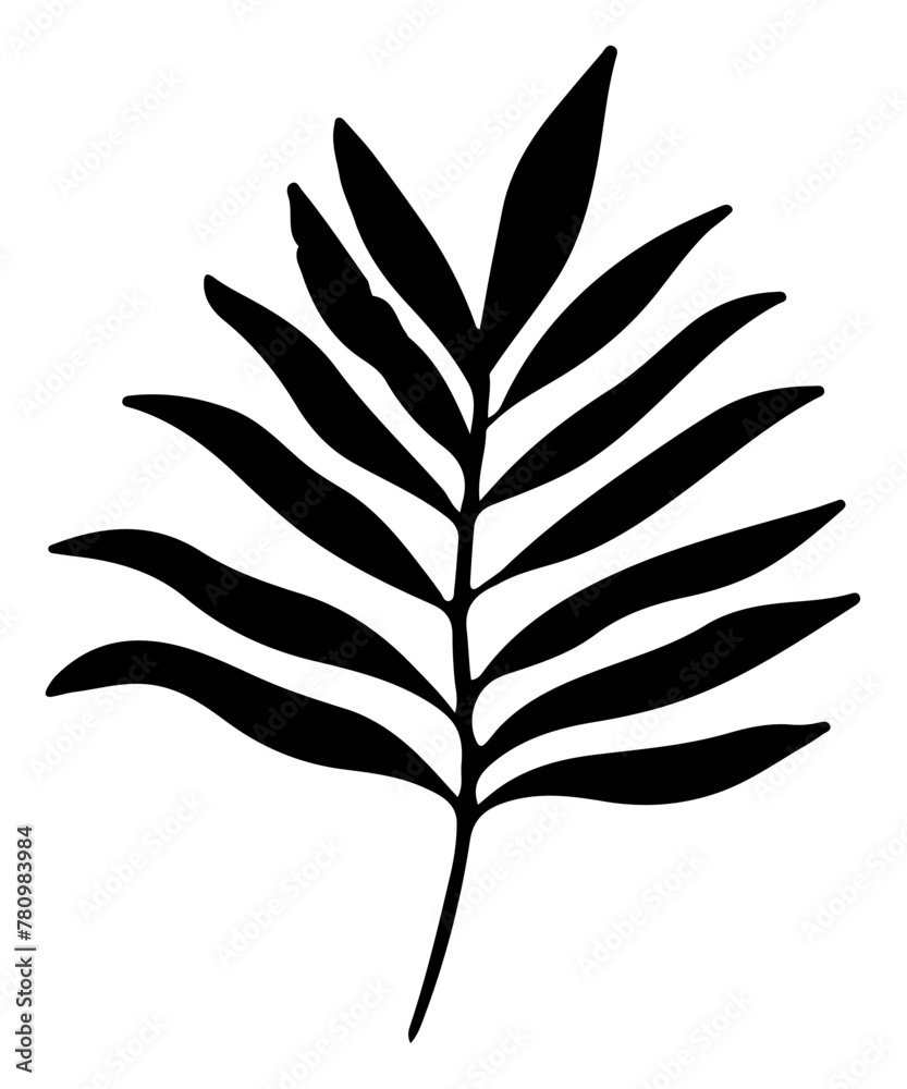 Monstera Tropical Leaf Silhouette Palm Vector Illustration