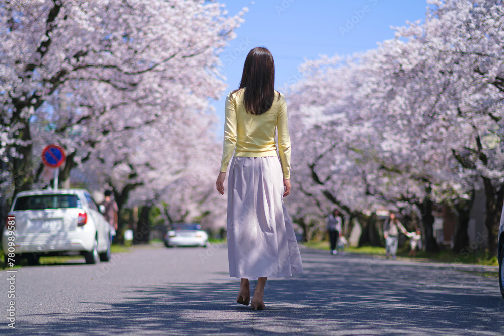 春の木漏れ日の中、桜並木の道を歩く女性の後ろ姿