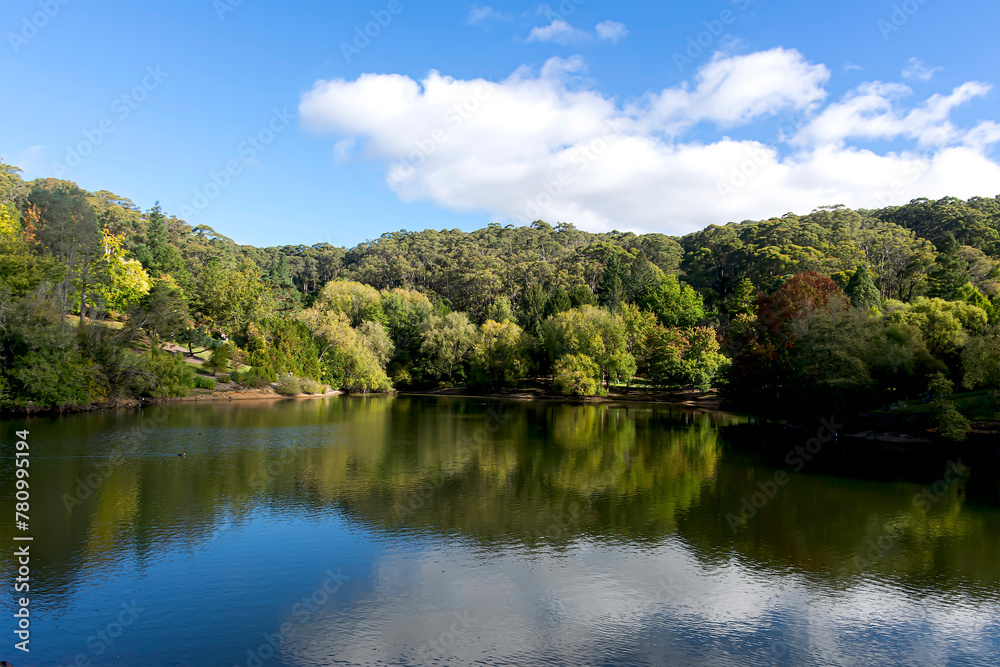 Large lake surrounded by trees and green foliage in the Mount Lofty Botanical Gardens in Australia.