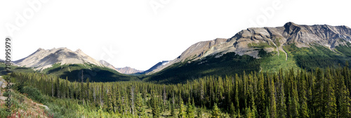 Panoramic view of a rocky mountain range with an evergreen forest in the foreground. The sky is transparent. 
