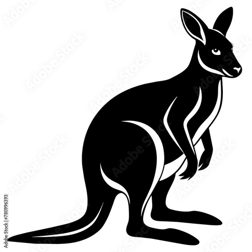 kangaroo illustration