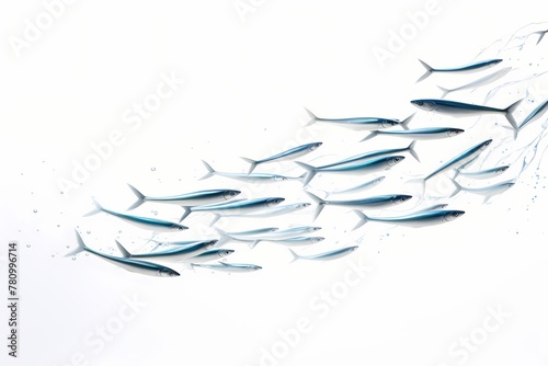 Elegant sardine shoal forming mesmerizing patterns in the open ocean  isolated on white solid background