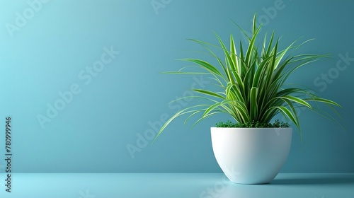 A plants presence in a minimalist workspace whispers lif 1