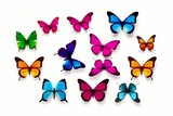 butterflies in different colors isolated on a white solid background