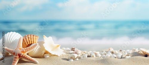 Sand covered with various shells and starfish, creating a picturesque scene against a calm blue ocean backdrop © Ilgun