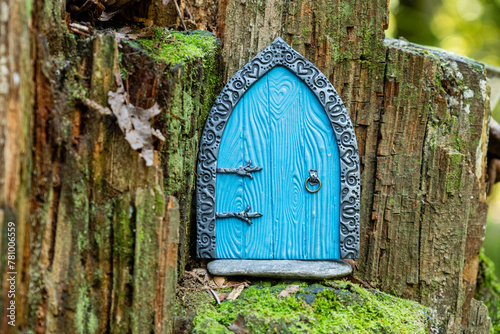 small blue door made of polymer clay on in nature like a fairy house close up