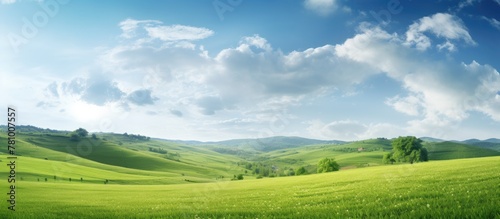 Lush green field with scattered trees under a serene sky, hills gently rising in the distance