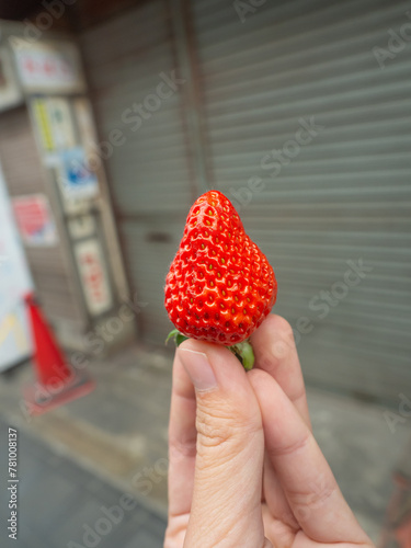 Red strawberries in my hand at the Japanese fresh market in Osaka.