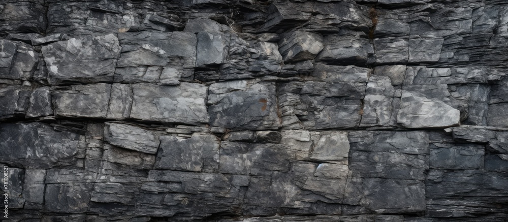 Adventurous man confidently stands on rocky cliff holding surfboard