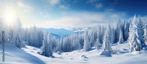 Mountain landscape featuring snowy trees in the foreground under the bright sun, creating a picturesque winter scene