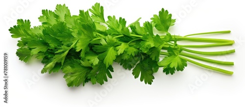 Fresh parsley leaves laid out in a cluster on a clean white tabletop, creating a vibrant and aromatic display