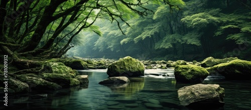 The tranquil river meanders through the lush and verdant forest, adorned with rocks and various trees