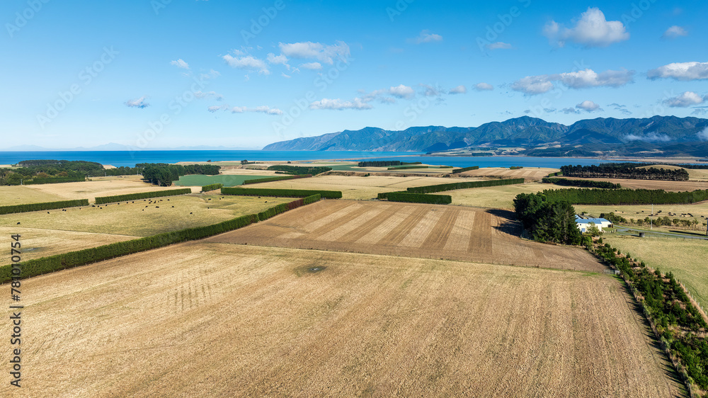 Obraz premium Agricultural countryside near Palliser bay looking across the bay to the back of the Wainouiomata coast and the southern alps on the horizon