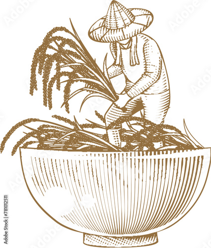 Farmer Harvesting On A Rice Bowl photo