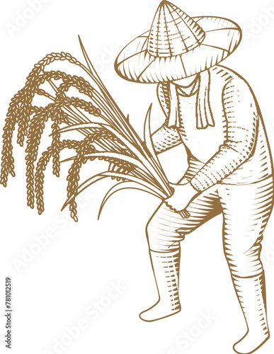 Farmer dibbling of rice seedling
