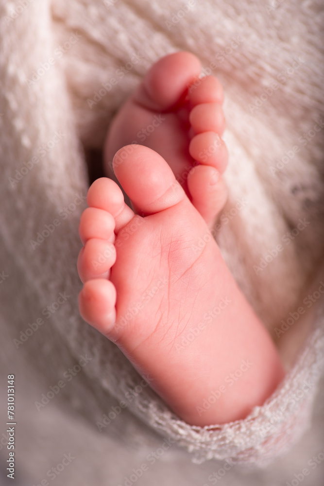 Little newborn baby feet portrait photography Little newborn baby feet portrait photography