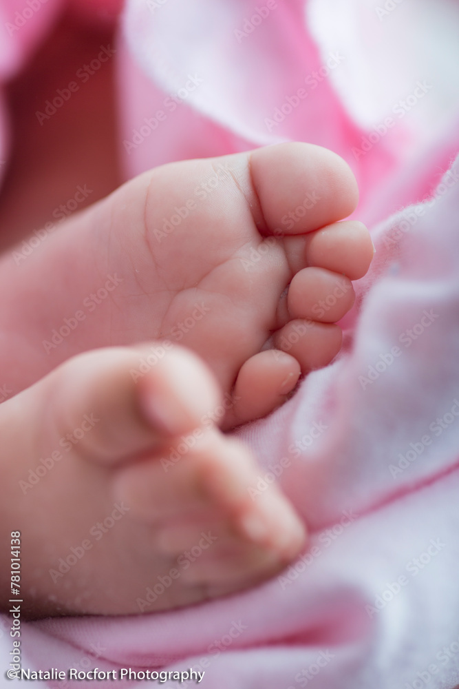 Little newborn baby feet portrait photography  