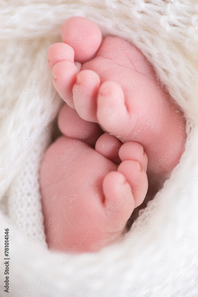 Little newborn baby feet portrait photography Little newborn baby feet portrait photography