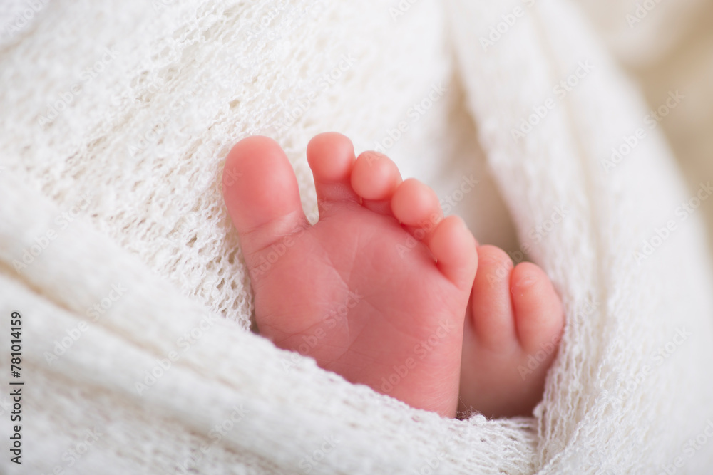 Little newborn baby feet portrait photography Little newborn baby feet portrait photography