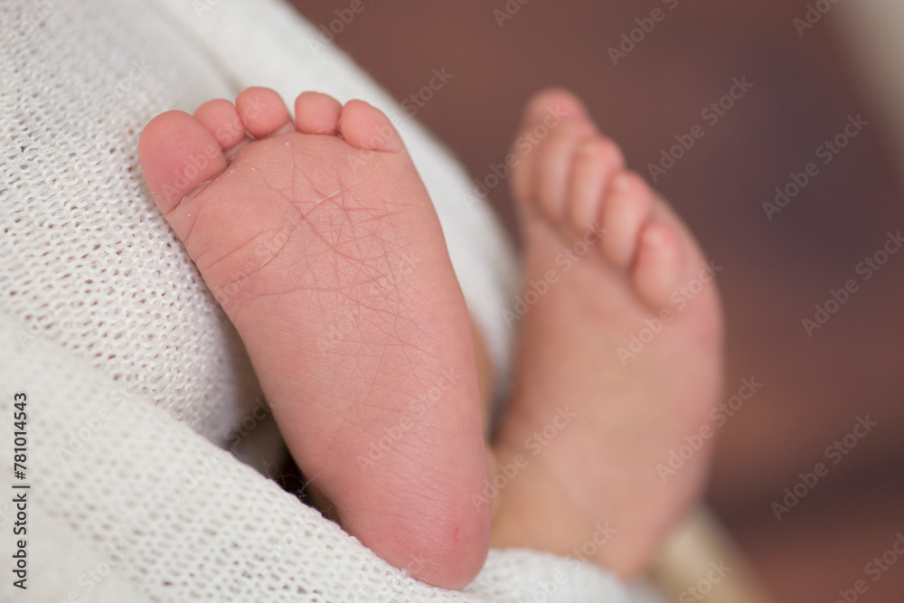 Little newborn baby feet portrait photography Little newborn baby feet portrait photography