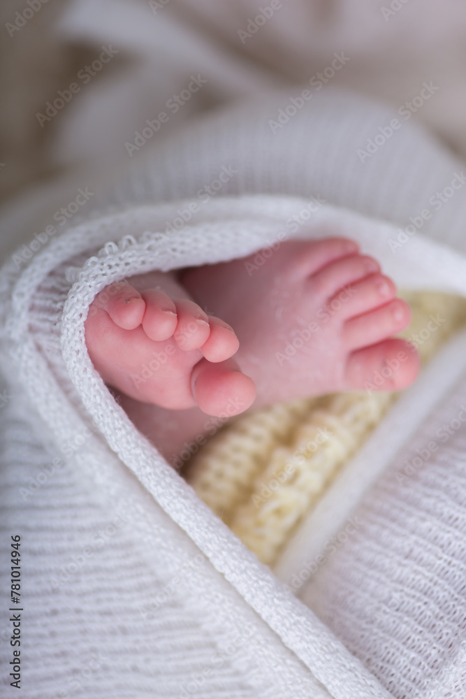 Little newborn baby feet portrait photography  