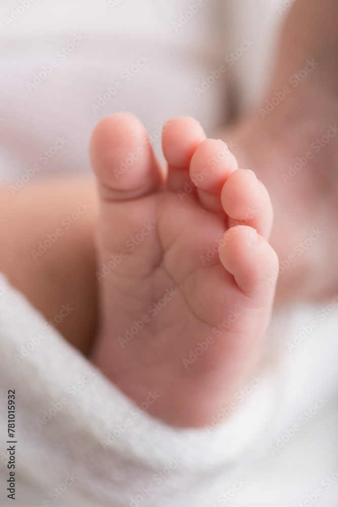 Little newborn baby feet portrait photography Little newborn baby feet portrait photography