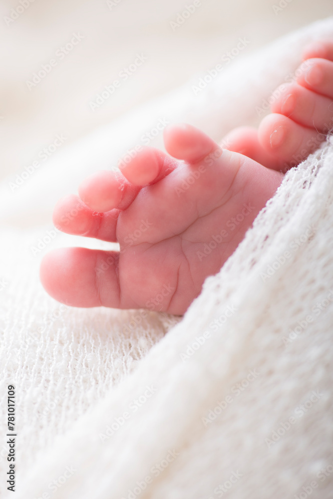 Little newborn baby feet portrait photography Little newborn baby feet portrait photography