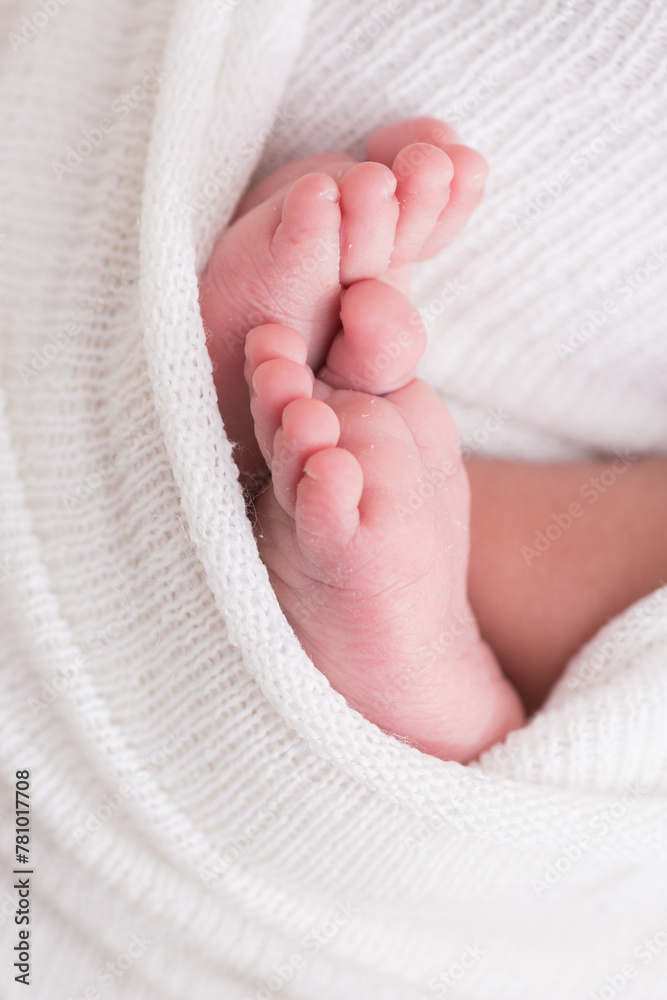 Little newborn baby feet portrait photography Little newborn baby feet portrait photography