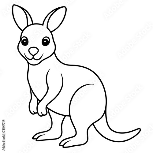kangaroo cartoon illustration