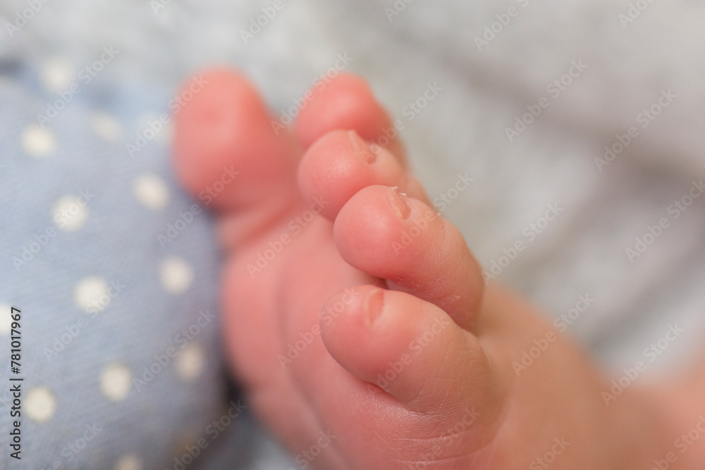 Little newborn baby feet portrait photography Little newborn baby feet portrait photography