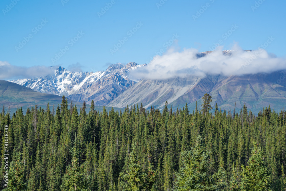 Obraz premium Kluane National Park, Yukon